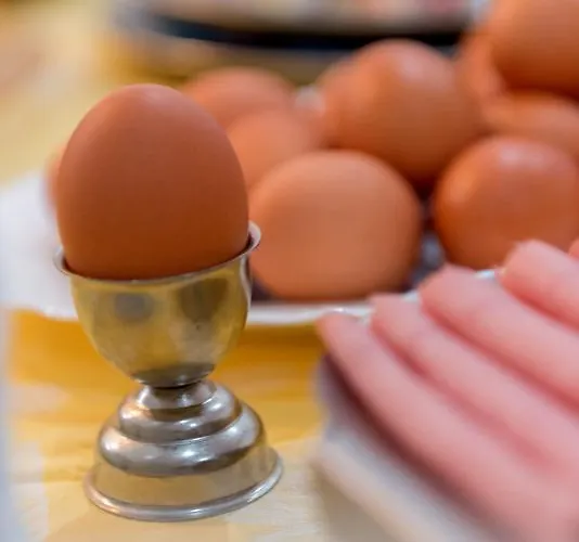 Colina Do Mar البوفيرا